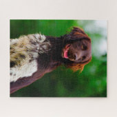 ムンスターランダー犬。 ジグソーパズル (横)