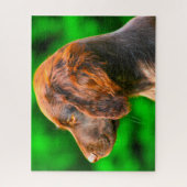 ムンスターランダー犬。 ジグソーパズル (縦)