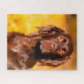 ムンスターランダー犬。 ジグソーパズル (横)