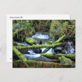 ムンソンクリーク葉書の上にモスラデンブランチ ポストカード (正面/裏面)