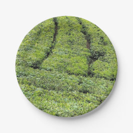 ムンナールの紅茶園がプリントされた ペーパープレート