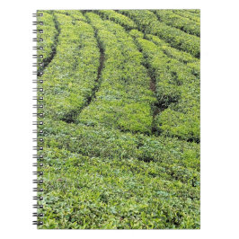 ムンナールの茶園が  ノートブック