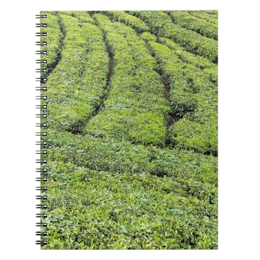 ムンナールの茶園が ノートブック (正面)
