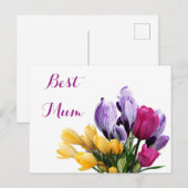 ムーかわいらしム用紫色の黄色いピンクのチューリップ シーズンポストカード (正面/裏面)