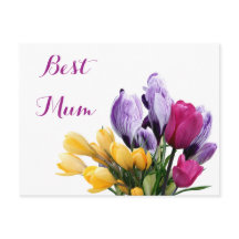 ムーかわいらしム用紫色の黄色いピンクのチューリップ