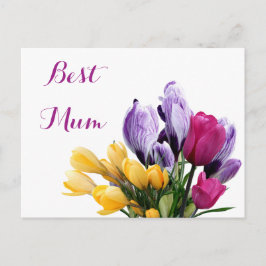 ムーかわいらしム用紫色の黄色いピンクのチューリップ シーズンポストカード