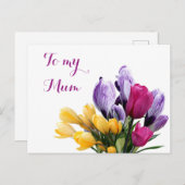 ムーかわいらしム用紫色の黄色いピンクのチューリップ シーズンポストカード (正面/裏面)