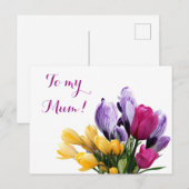 ムーかわいらしム用紫色の黄色いピンクのチューリップ シーズンポストカード (正面/裏面)