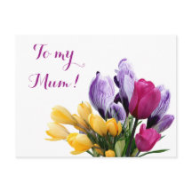 ムーかわいらしム用紫色の黄色いピンクのチューリップ