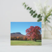 ムーアのノブぶら下がったアットロック州パーク ポストカード (スタンド正面)