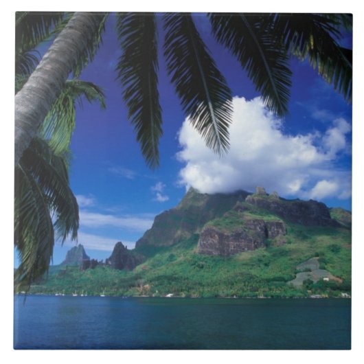 ムーアフランスの、ポリネシア。調理師ベイ。グリーン タイル (正面)