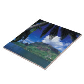 ムーアフランスの、ポリネシア。調理師ベイ。グリーン タイル (側面)