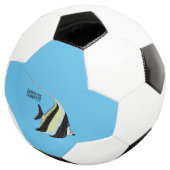 ムーア風のアイドルフィッシュ漫画イラストレーション サッカーボール (3/4)