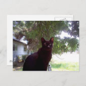 ムーシ ポストカード (正面/裏面)