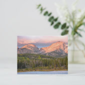 ムースと観光客ズアットスプラーグ湖，コロラド ポストカード (スタンド正面)