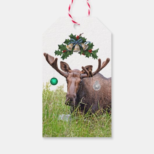 ムースのクリスマスプレゼントラベル ギフトタグ (裏面)