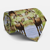 ムースのネクタイ ネクタイ (ロール)