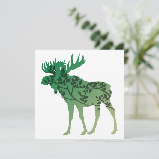 ムースの木 (スタンド正面)