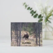 ムースはがき ポストカード (スタンド正面)