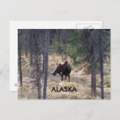 ムースはがき ポストカード (正面/裏面)