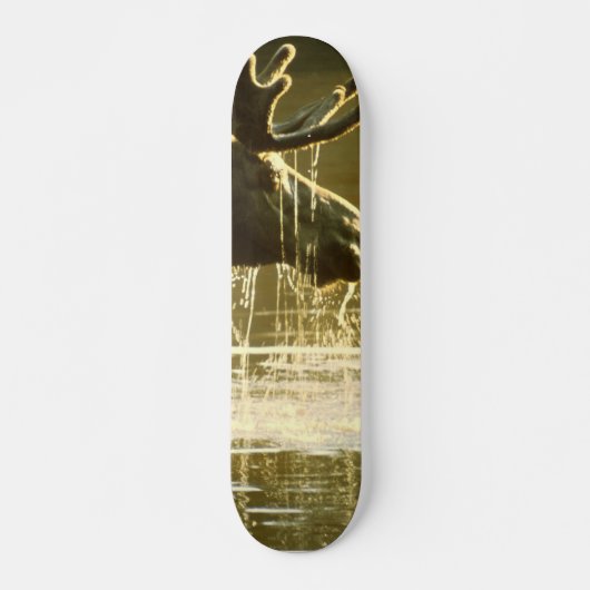 ムースは頭を水に浸す スケートボード (正面)