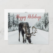 ムースインウィンタースノークリスマスホリデーカード シーズンカード (正面/裏面)