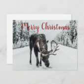 ムースインウィンタースノーホリデーカード シーズンカード (正面/裏面)