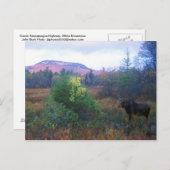 ムースオンカナグスハイウェイ ポストカード (正面/裏面)