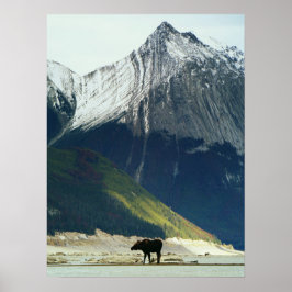 ムースオンメディシン湖 ポスター