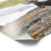 ムースキャンピングフォトプリント フォトプリント (角)