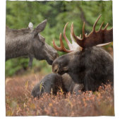 ムースシャワーカーテン シャワーカーテン (正面)