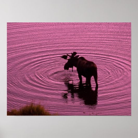 ムースシルエット ポスター (正面)