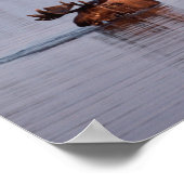 ムーススイミングインレイク ポスター (角)