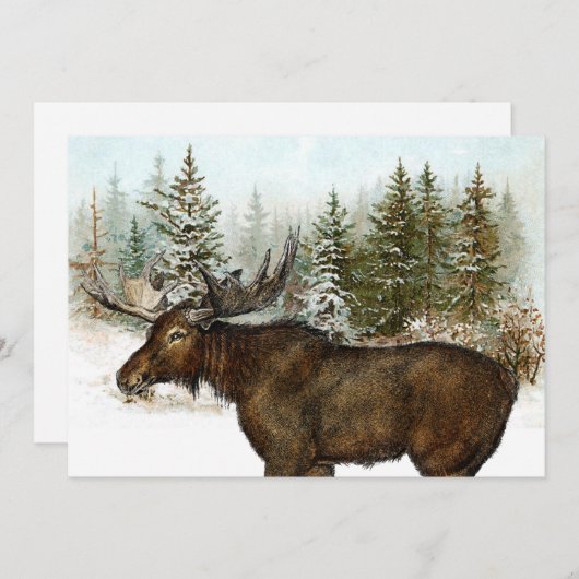ムーススノーウィーフォレスト自然ウィンターホリデーヴィンテージ シーズンカード (正面/裏面)