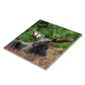 ムースセラミックタイル タイル (側面)