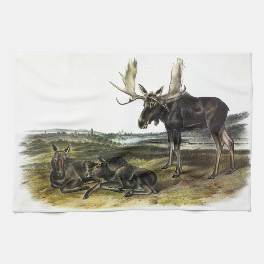 ムースディアー（ムース – Alces alces）by Audubon キッチンタオル (横)
