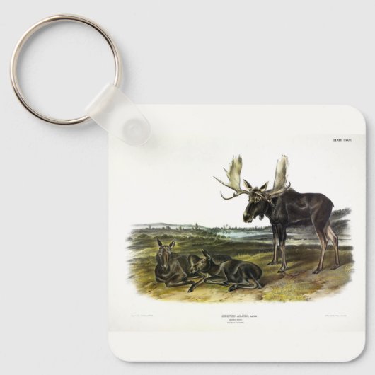 ムースディアー（ムース – Alces alces）by Audubon キーホルダー (正面)