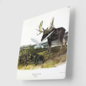 ムースディアー(ムース – Alces alces)by Audubon スクエア壁時計 (傾斜)