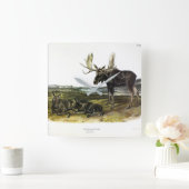 ムースディアー(ムース – Alces alces)by Audubon スクエア壁時計 (ホーム)