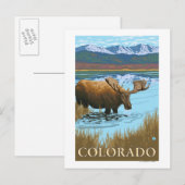 ムースドキングコロラド ポストカード (正面/裏面)