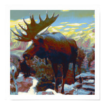 ムースプリント