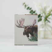 ムースヘッドポートレート ポストカード (スタンド正面)