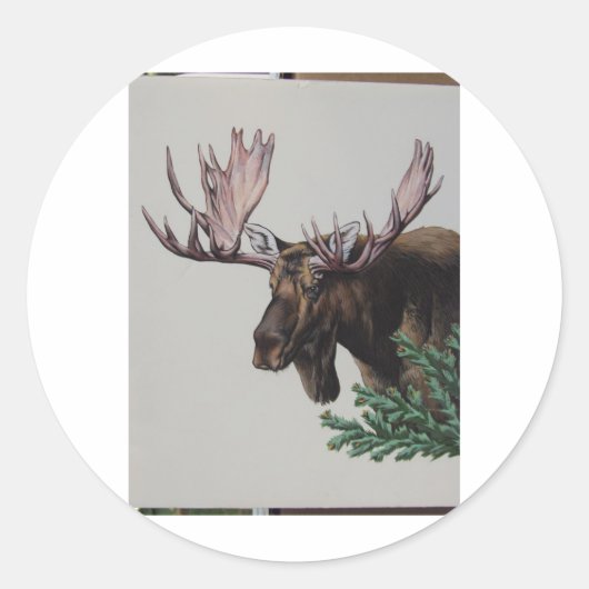 ムースヘッドポートレート ラウンドシール (正面)