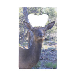 ムースボトルオープナー クレジットカード栓抜き