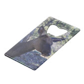 ムースボトルオープナー クレジットカード栓抜き (裏面アングル)