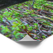 ムースポートレート ポスター (角)