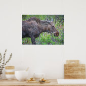 ムースポートレート ポスター (キッチン)