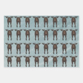 ムースラッピング紙シート ラッピングペーパーシート (正面2)