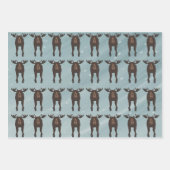 ムースラッピング紙シート ラッピングペーパーシート (正面)