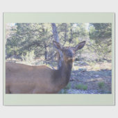 ムースラッピング紙 ラッピングペーパー (フラット)